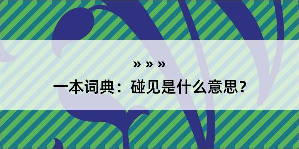 一本词典：碰见是什么意思？