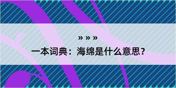 一本词典：海绵是什么意思？