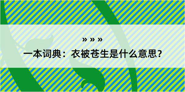 一本词典：衣被苍生是什么意思？