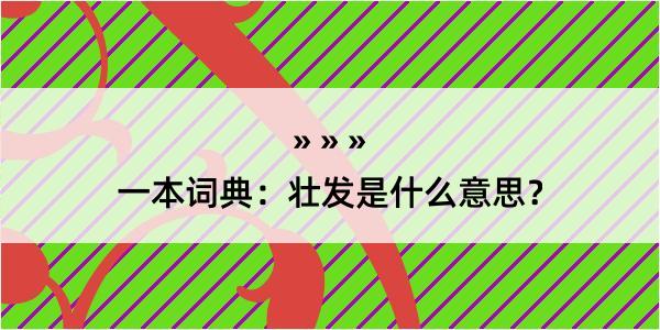 一本词典：壮发是什么意思？