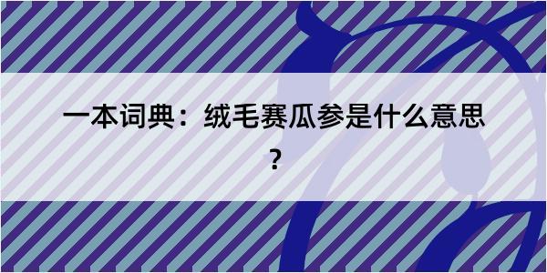 一本词典：绒毛赛瓜参是什么意思？