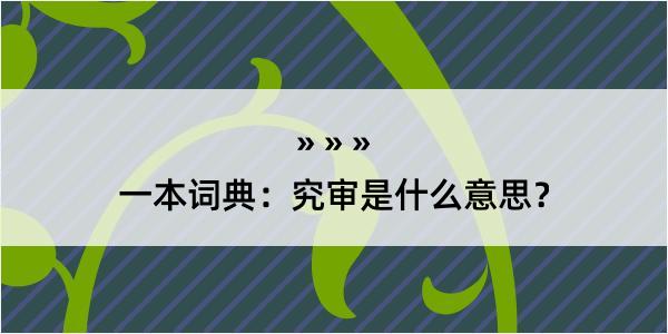 一本词典：究审是什么意思？