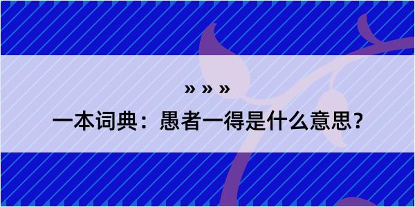 一本词典：愚者一得是什么意思？