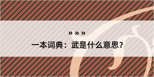 一本词典：武是什么意思？