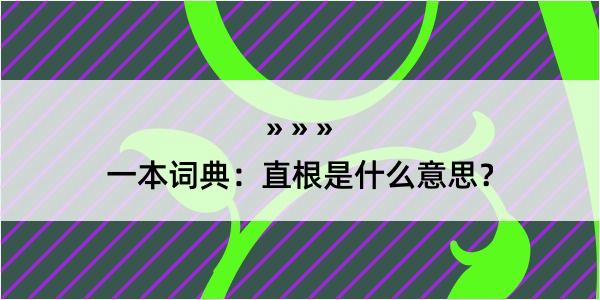 一本词典：直根是什么意思？