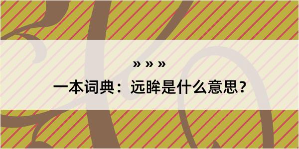 一本词典：远眸是什么意思？