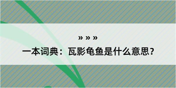 一本词典：瓦影龟鱼是什么意思？