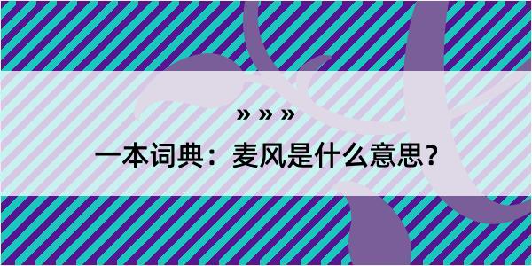 一本词典：麦风是什么意思？