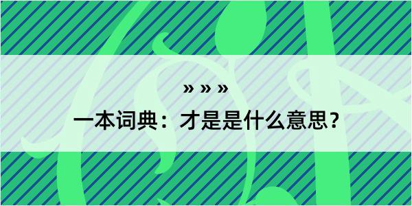 一本词典：才是是什么意思？