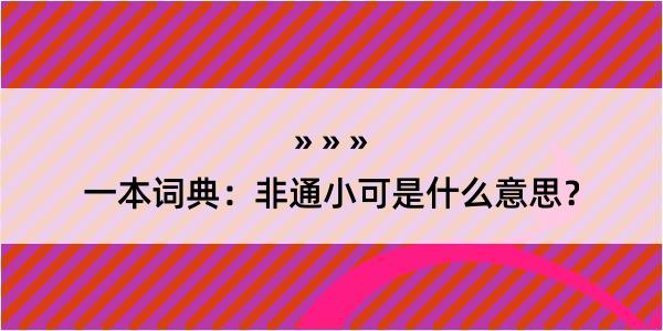 一本词典：非通小可是什么意思？