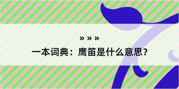 一本词典：鹰笛是什么意思？