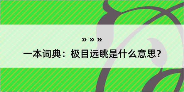 一本词典：极目远眺是什么意思？