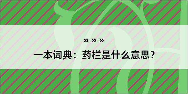 一本词典：药栏是什么意思？