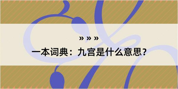 一本词典：九宫是什么意思？