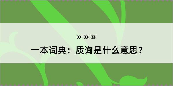 一本词典：质询是什么意思？