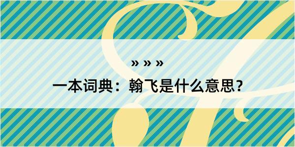 一本词典：翰飞是什么意思？