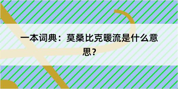 一本词典：莫桑比克暖流是什么意思？