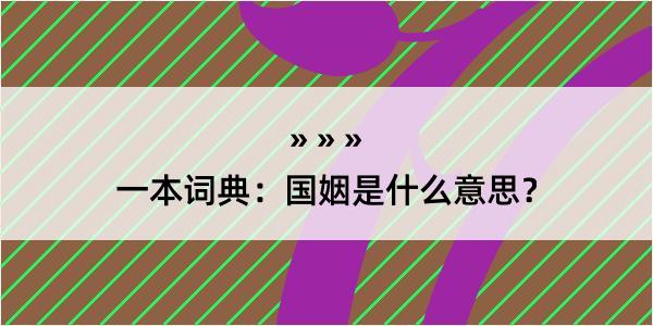 一本词典：国姻是什么意思？