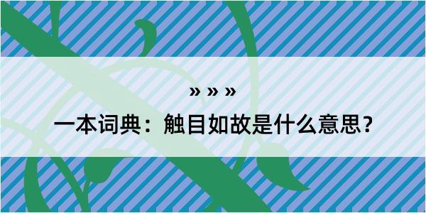 一本词典：触目如故是什么意思？