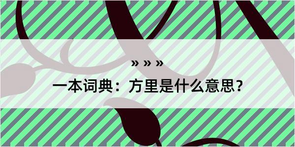 一本词典：方里是什么意思？