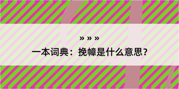 一本词典：挽幛是什么意思？