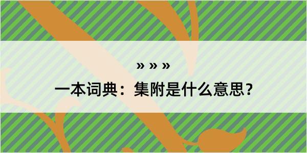 一本词典：集附是什么意思？