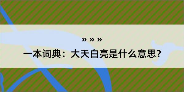 一本词典：大天白亮是什么意思？