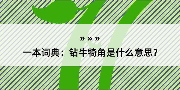 一本词典：钻牛犄角是什么意思？