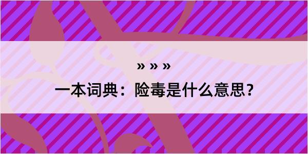 一本词典：险毒是什么意思？