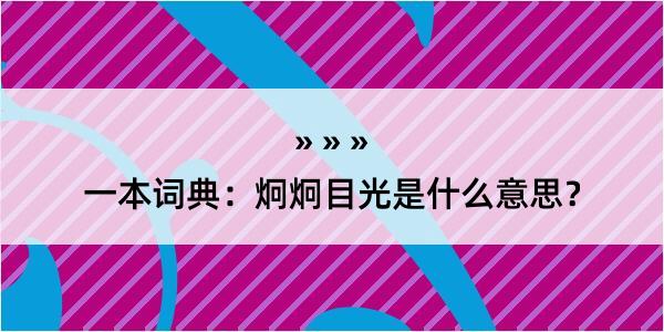 一本词典：炯炯目光是什么意思？