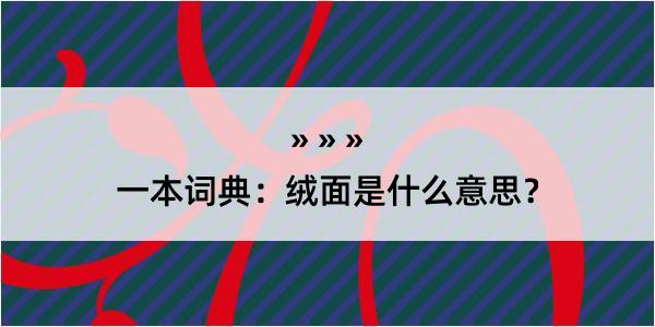 一本词典：绒面是什么意思？