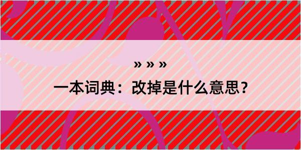 一本词典：改掉是什么意思？