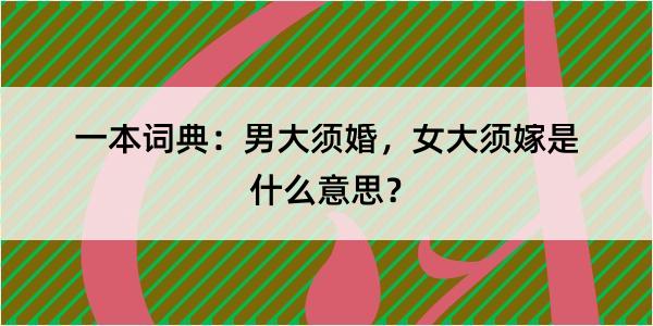 一本词典：男大须婚，女大须嫁是什么意思？