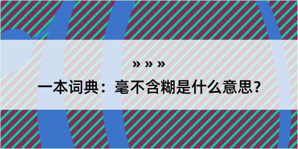 一本词典：毫不含糊是什么意思？