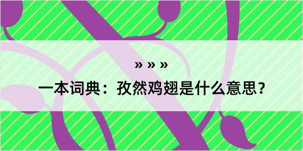 一本词典：孜然鸡翅是什么意思？