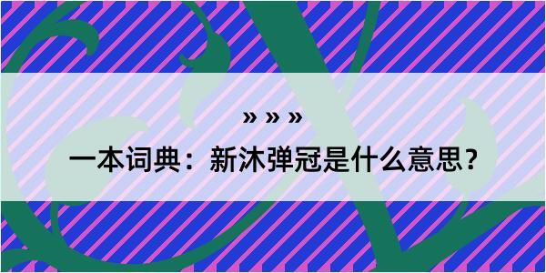 一本词典：新沐弹冠是什么意思？