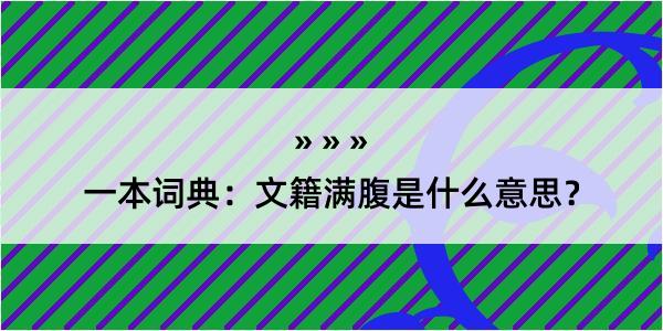 一本词典：文籍满腹是什么意思？