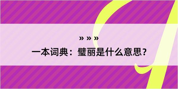 一本词典：璧丽是什么意思？