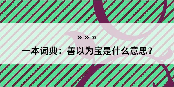 一本词典：善以为宝是什么意思？