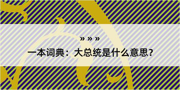 一本词典：大总统是什么意思？