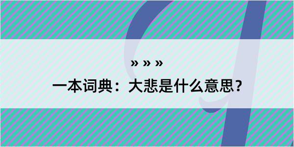 一本词典：大悲是什么意思？