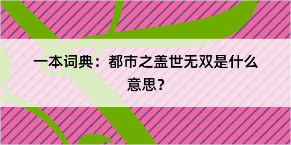 一本词典：都市之盖世无双是什么意思？