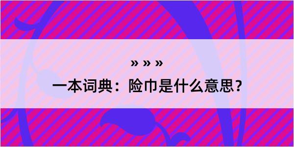 一本词典：险巾是什么意思？