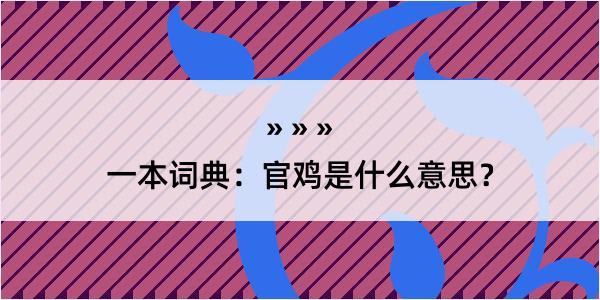 一本词典：官鸡是什么意思？