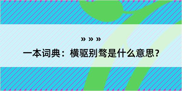 一本词典：横驱别骛是什么意思？