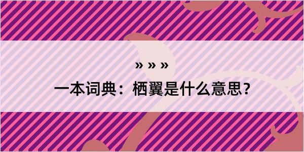 一本词典：栖翼是什么意思？