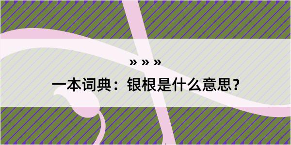 一本词典：银根是什么意思？