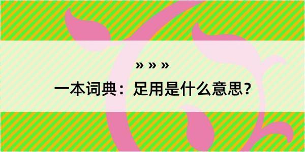 一本词典：足用是什么意思？