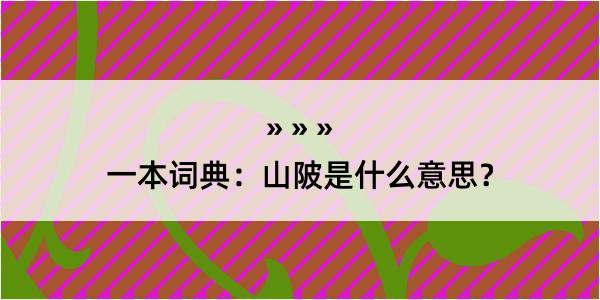 一本词典：山陂是什么意思？