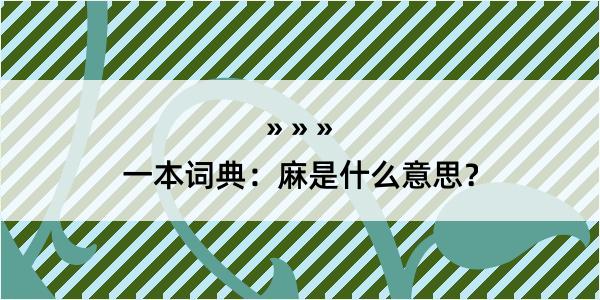 一本词典：麻是什么意思？